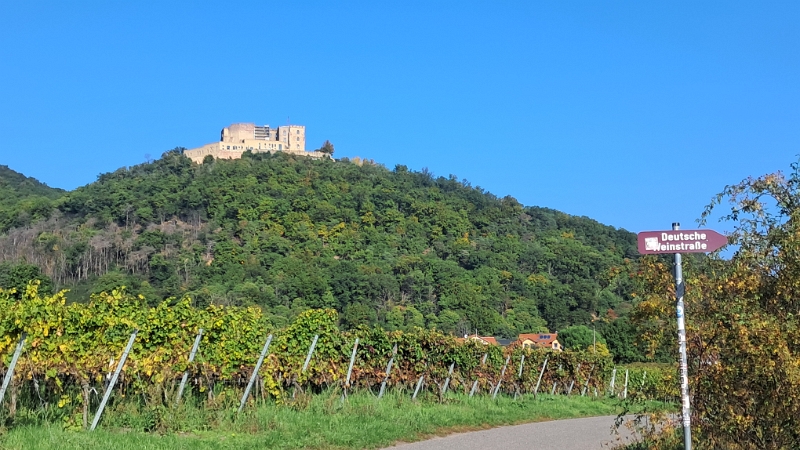 20251011_114637.jpg - Jetzt aber los...