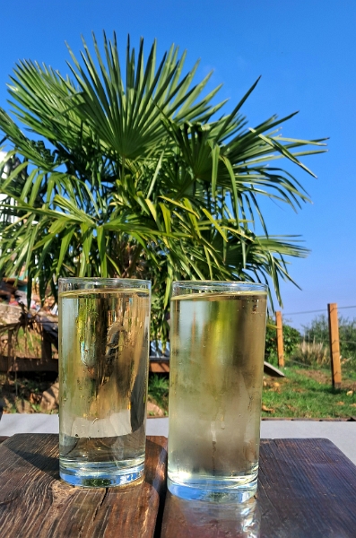 20251011_124527.jpg - GEIL! Auf einer Chillout-Liege lassen wir uns die Weinschorle schmecken...