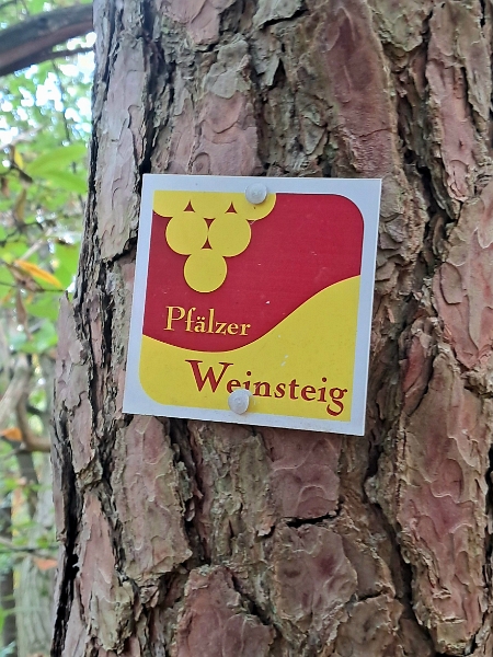 20251011_141835.jpg - ...auf dem Pfälzer Weinsteig...