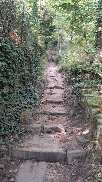 20251011_143834.jpg - Die letzten Meter hinunter nach Diedesfeld...