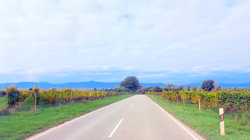 20251012_131018.jpg - Auf dem Heimweg...