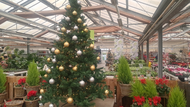 20251116_124835.jpg - Das lassen wir uns nicht entgehen und schauen mal rein...