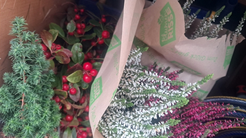 20251116_130835.jpg - Wir laden ein paar "Schnäppchen" ein...