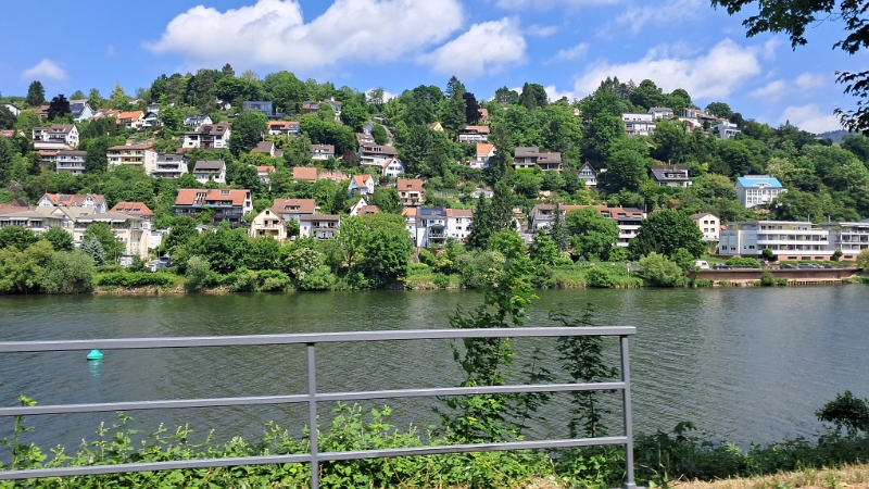 20250518_123331.jpg - Am nächsten Tag sind wir dann aber auch schon wieder auf dem Heimweg, entlang des Neckars.