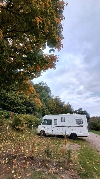 20251017_174413.jpg - Es ist sehr herbstlich und auch relativ frisch...