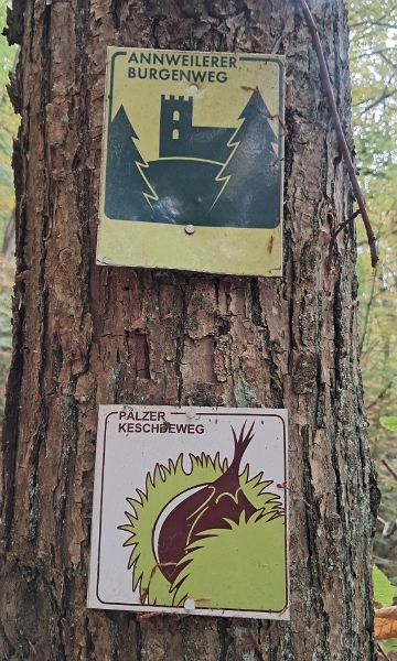 20251018_121507.jpg - Aha, hier verläuft auch der "Keschdeweg"...