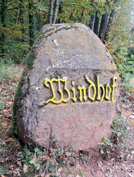 20251018_122500.jpg - Am Windhof angekommen...