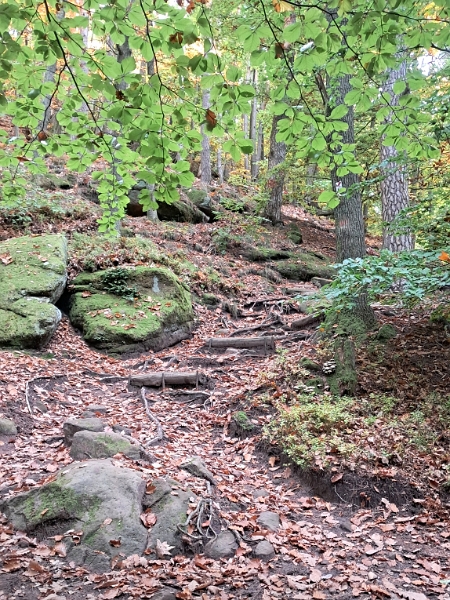 20251018_123043.jpg - ...gehts weiter steil bergauf!