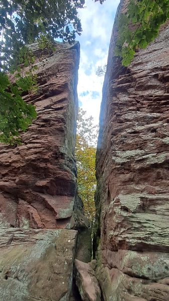20251018_132449.jpg