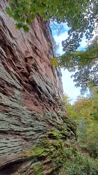 20251018_132455.jpg
