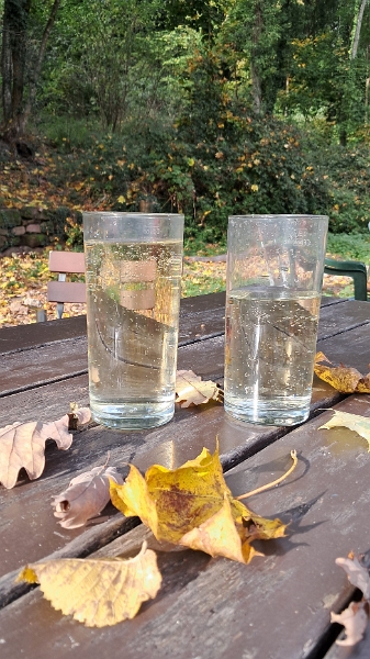 20251018_154620.jpg - ...wir laufen den steilen Weg wieder runter zum Parkplatz wo das Restaurant Barbarossa und ein Kiosk ist, wo wir uns einen Riesling-Schorle einverleiben!