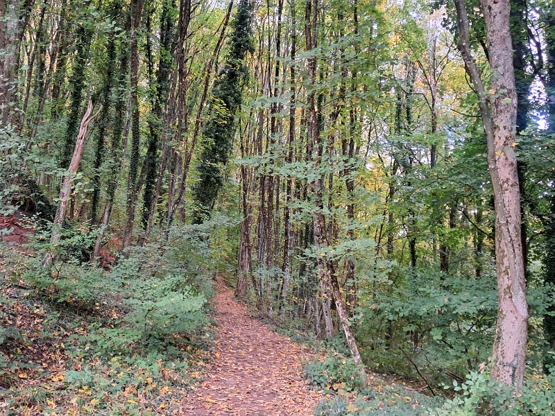 20251018_161754.jpg - Die letzten Kilometer gehts moderat bergab.