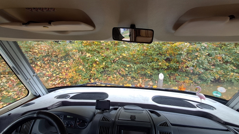 20251019_110428.jpg - Am Sonntag sind wir dann allerdings wieder...