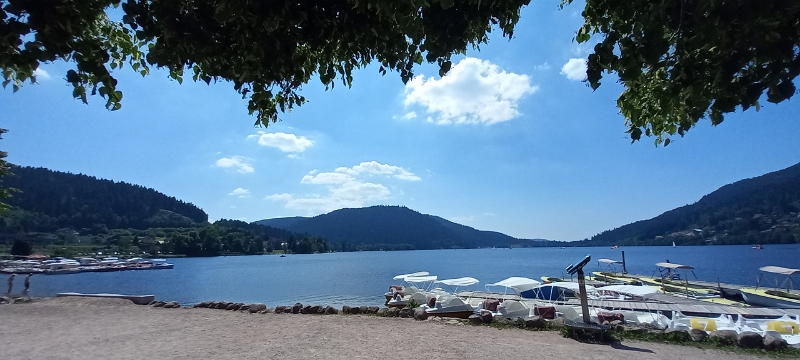 20250619_153557.jpg