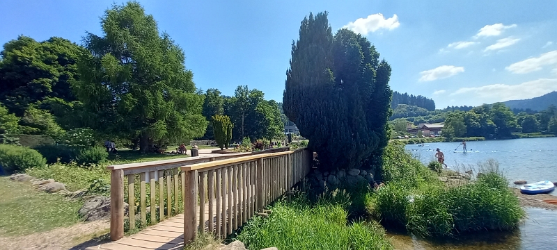 20250619_153924.jpg