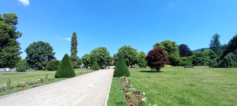 20250619_154418.jpg