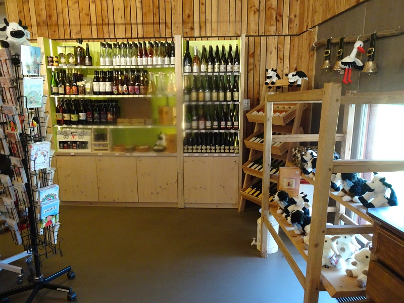 DSC06517.JPG - Jetzt stöbern wir noch durch den Shop...