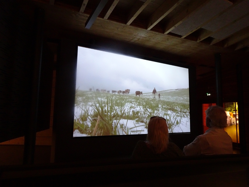 DSC06521.JPG - Nun startet unsere "Besichtigung".Zunächst schauen wir uns einen Film über das Elsass, im besonderen über das Munstertal, an und im allgemeinen über die Bergbauern und die Landwirtschaft hier.