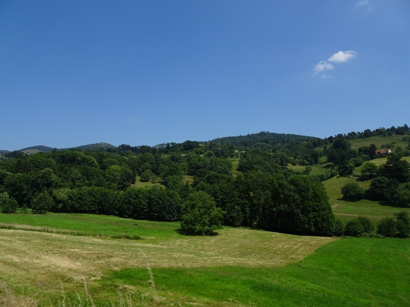 DSC06573.JPG