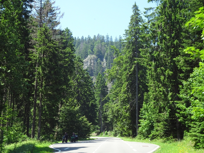 DSC06600.JPG