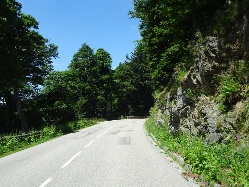 DSC06623.JPG
