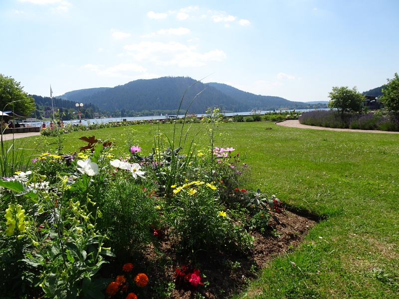 DSC06641.JPG - Nun laufen wir zum Lac de Gérardmer.