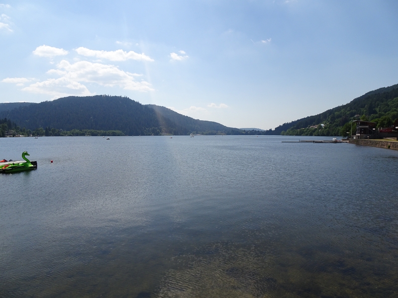 DSC06645.JPG