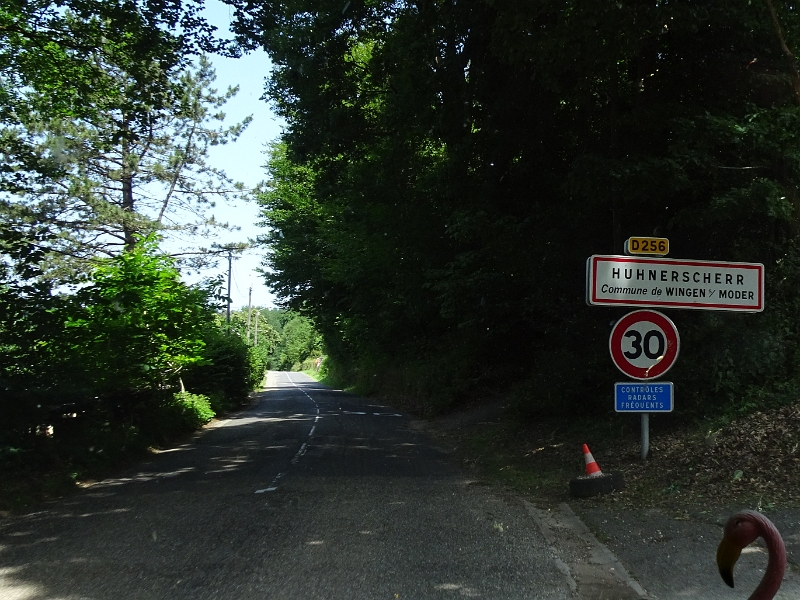 DSC06815.JPG