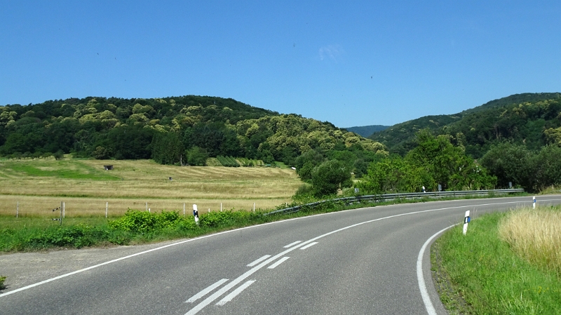 DSC06911.JPG - Ein Stück nutzen wir noch die Weinstraße...