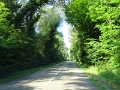 DSC06458