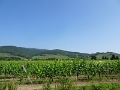 DSC06472