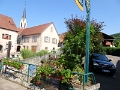 DSC06491