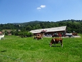 DSC06579