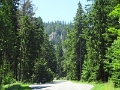 DSC06600