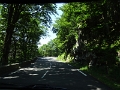 DSC06606