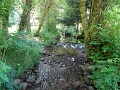 DSC06723
