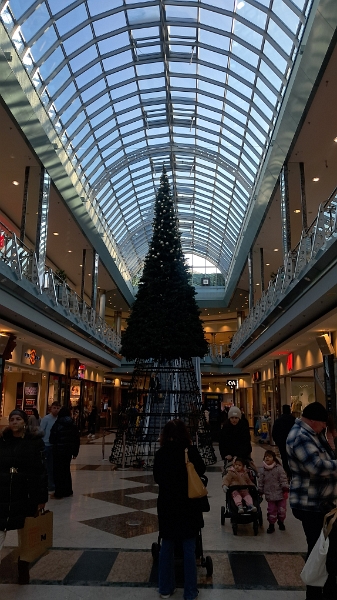 20251122_141911.jpg - ...die gerade weihnachtlich geschmückt wird.