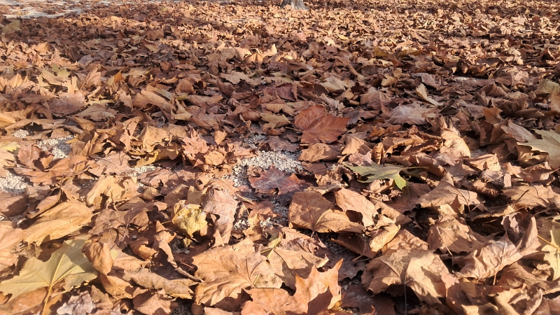 20251123_112452.jpg - Am nächsten Morgen...