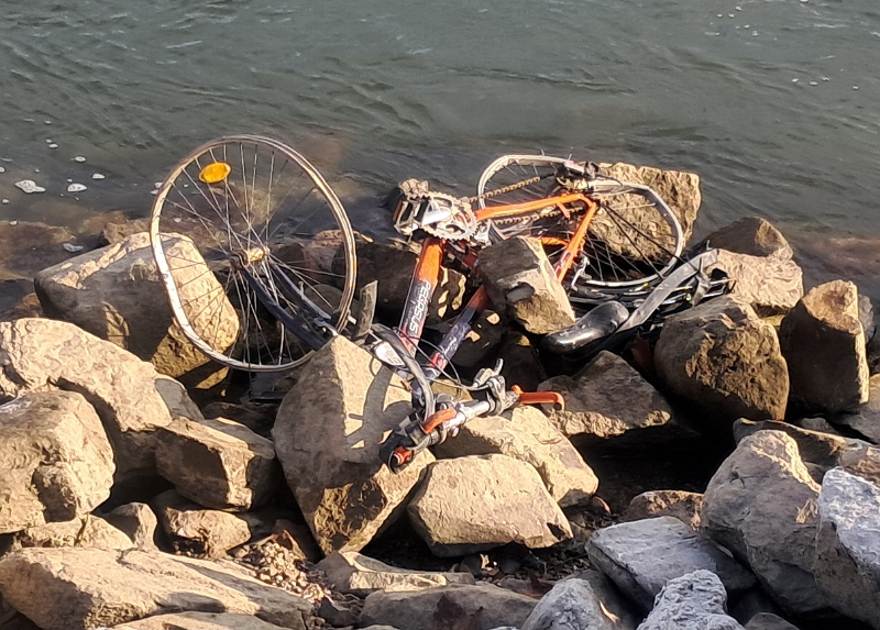 20251123_112709.jpg - ...tatsächlich war es wohl ein Fahrrad! ;-)