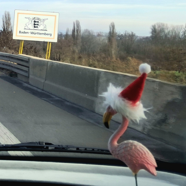 20251123_121720.jpg - So sind wir wieder im "Länd".