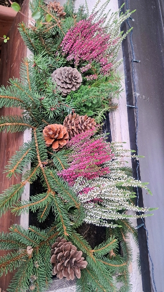 20251123_150520.jpg - Damit dekorieren wir unseren Balkon...