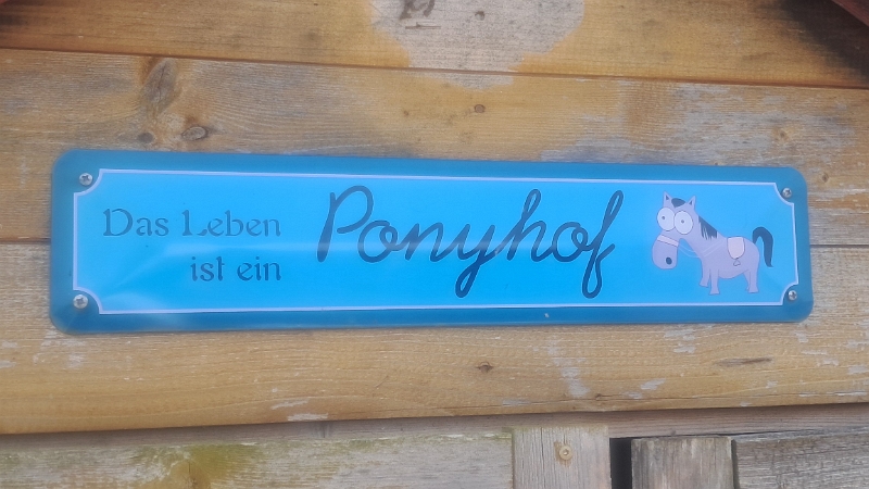 20250525_112134.jpg - Am nächsten Tag machen wir uns allerdings auch schon wieder auf den Heimweg. Vorbei an einem Ponyhof...