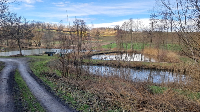 20250125_125625.jpg - Wir komme zu einem kleinen See bzw. ein paar Fischteichen.