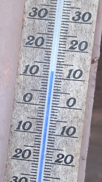 20250125_125841.jpg - Das Thermometer hier zeigt (im Schatten am gefrorenen See) 12°C an. Gefühlt sind es 15°C. Wir laufen übrigens im T-Shirt rum!!!