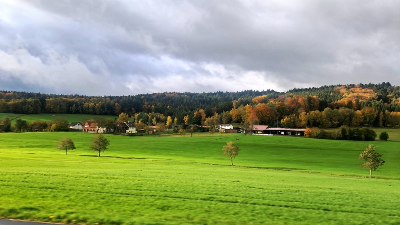 20251025_100357.jpg - Am nächsten Tag fahren wir durch das schöne Mossautal...