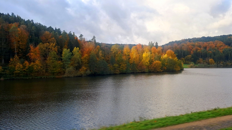 20251025_103535.jpg - Vorbei am Marbacher Stausee...
