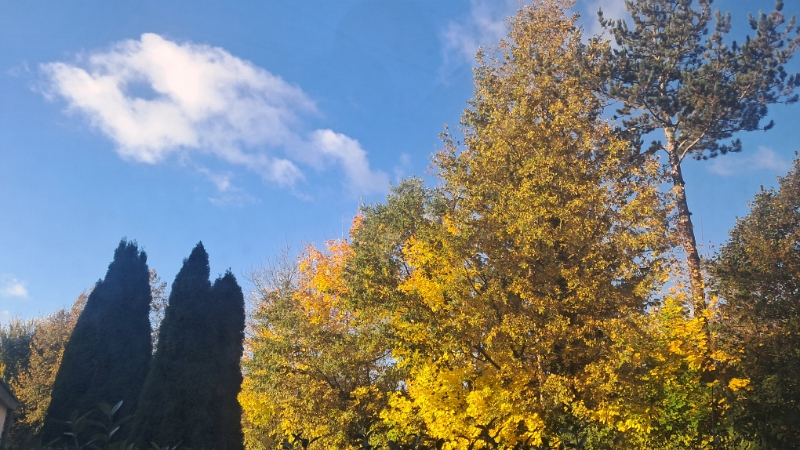 20251026_082644.jpg - Huch, am nächsten Morgen scheint die Sonne?!?!? Obwohl wir das Dixi geputzt haben?!? *STAUN*