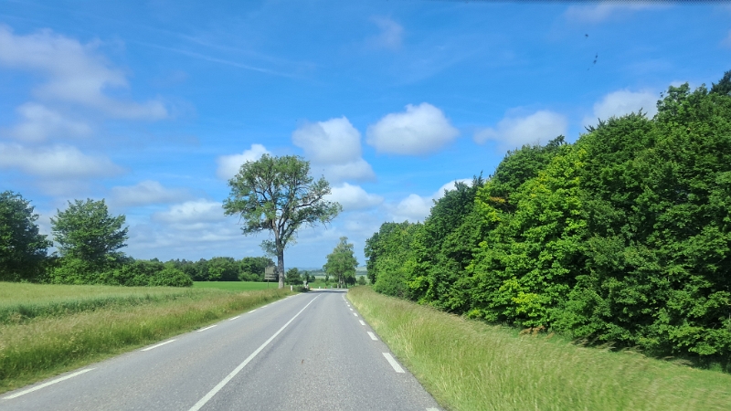 20250529_103959.jpg - Das Wetter ist heute auf unserer Seite. :-)
