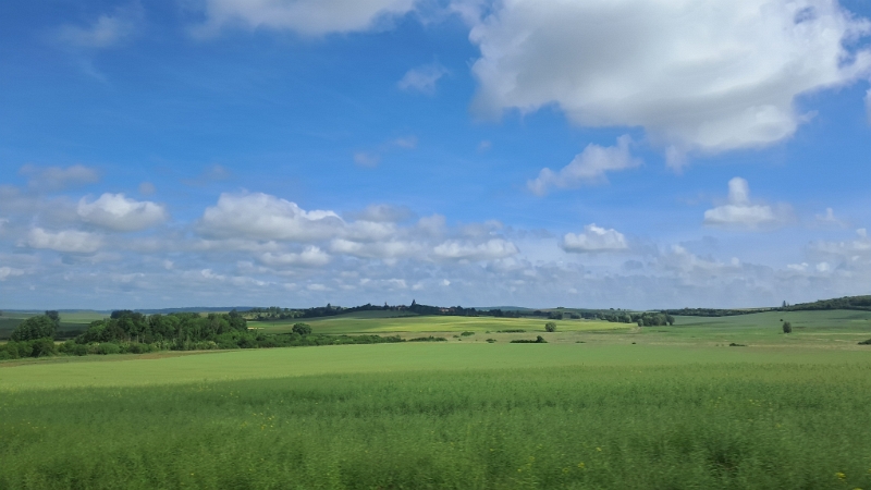 20250529_105523.jpg