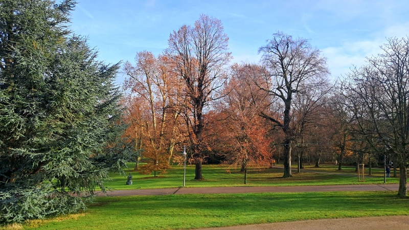 20251129_114409.jpg - ...durch den Kurpark...